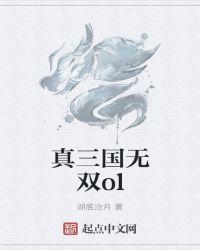 真三国无双ol捣毁私售组织