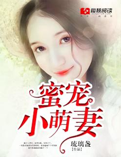 豪门新妻